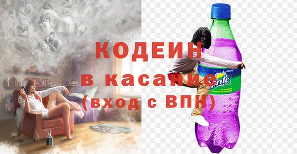 дмт Богданович